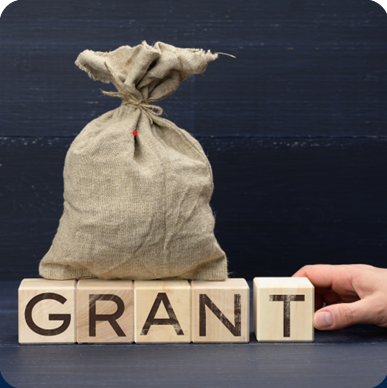 Government Grants and Subsidies